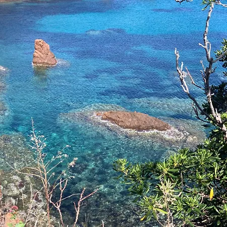 Beau 2 Pieces, Magnifique Vue Et Piscine Daire Les Issambres